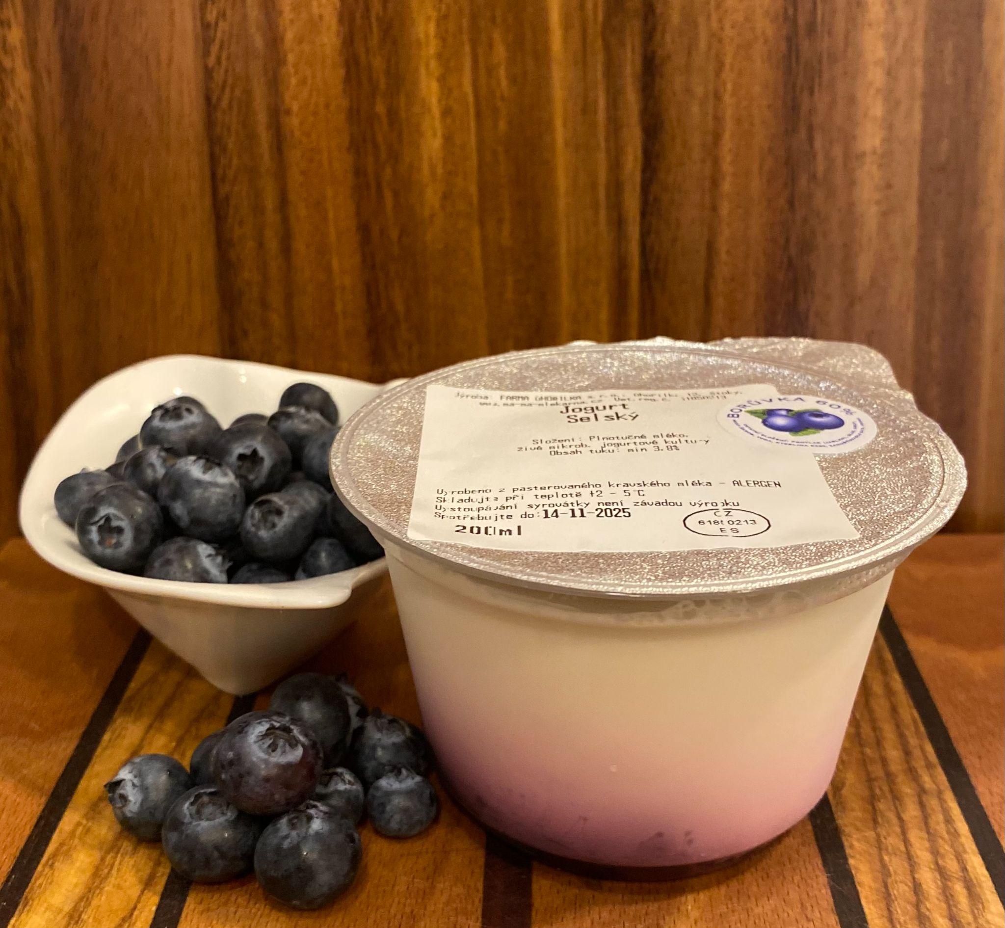 Jogurt - borůvka 200ml